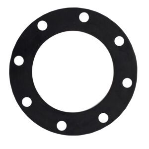 Flange Gaskets